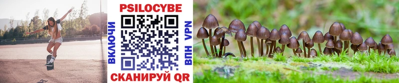 Псилоцибиновые грибы Psilocybe  Купить где  Приморск 